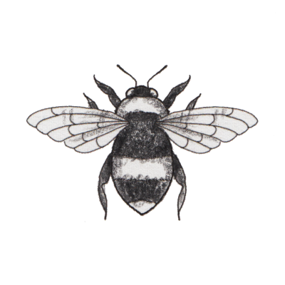 An illustration of a bee to to illustrate one of the 4 ingredients in Scrummy Cream 