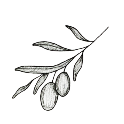 A black and white illustration of olives on a branch to show one of the 4 ingredients in Scrummy Cream 